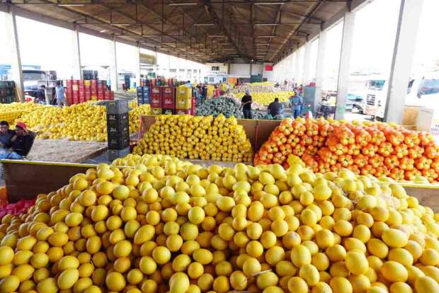 O município de Juazeiro é destaque no cenário agropecuário da Bahia graças aos projetos públicos de irrigação Curaçá, Mandacaru, Maniçoba, Salitre - 1ª Etapa e Tourão. Mercado-do-Produtor-de Juazeiro – Foto: Prefeitura Juazeiro