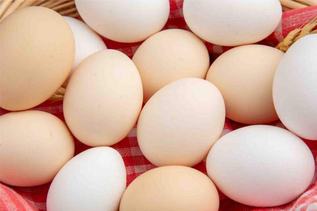 Hoje é possível saber ou deduzir a cor da casca do ovo a partir da raça da galinha”, afirma a zootecnista. (Divulgação)