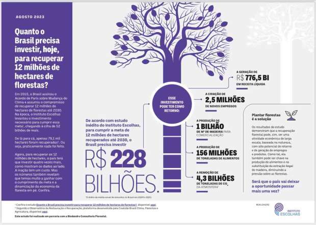 Reflorestamento Brasil