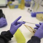 Tecnologias de análise do DNA do solo e de controle de qualidade dos biológicos apontam novos caminhos para o agronegócio e estão acessíveis aos produtores rurais. (Divulgação)