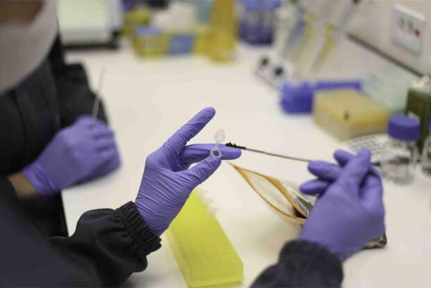 Tecnologias de análise do DNA do solo e de controle de qualidade dos biológicos apontam novos caminhos para o agronegócio e estão acessíveis aos produtores rurais. (Divulgação)