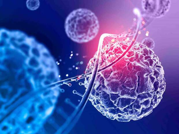 Descoberta pode ajudar no desenvolvimento de terapias futuras para impedir que as células cancerígenas cresçam e sobrevivam. Imagem freepik / divulgação