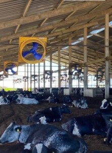 Fazenda no Ceará