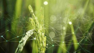 Evento, agendado para dia 16 de outubro, em São Paulo (SP), será realizado pela Abisolo, CropLife Brasil, Fiesp e Sindiveg. Foto: Divulgação.
