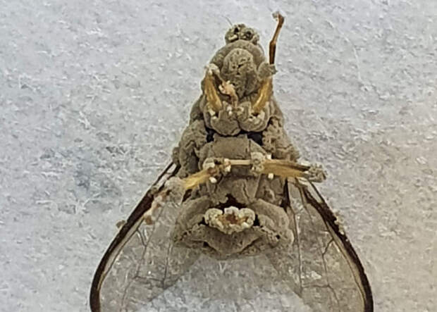 Foto: Cristiane de Jesus