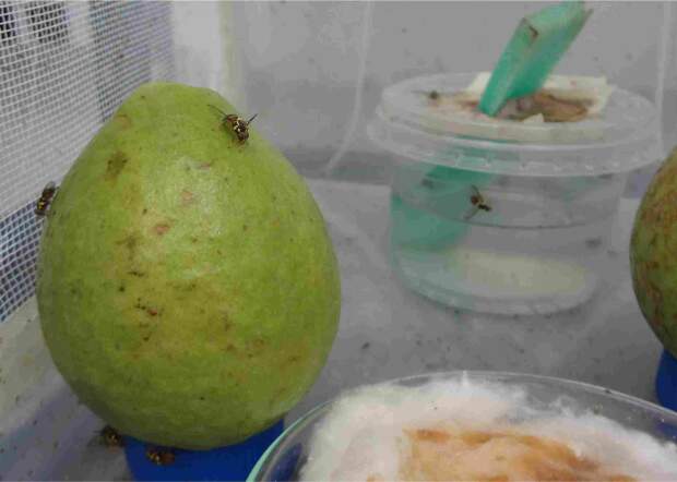 Foto: Danilo Nascimento