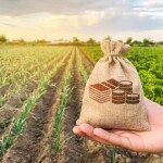 Com investimento a partir de R$ 500, nova carteira do aplicativo Trix investe em fundos de recebíveis do agronegócio ligados a frigoríficos, usinas de cana-de-açúcar e até a maior produtor nacional de maçãs. (Agro-dinheiro-Foto: IStock)