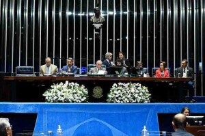 A data foi criada pela Organização das Nações Unidas (ONU) em 2019 para dar visibilidade ao setor algodoeiro e seu papel no desenvolvimento econômico, no comércio internacional e na redução da pobreza. Foto: Agência Senado / divulgação