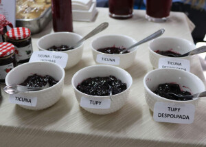 Alta acidez permite a produção de doces sem a adição de ácidos. Foto: Francisco Lima