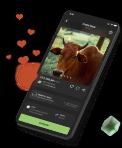Para navegar e fazer interações básicas na plataforma, favoritar ou comentar, basta apenas baixar o aplicativo na App Store ou Google Play Store e fazer um cadastro inicial. (Divulgação)