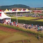 De 27/11 a 01/12 acontece o Sakata Field Day 2023, dia de campo que apresentará mais de 100 variedades de hortaliças a campo e em estufas, na cidade de Bragança Paulista (SP). (divulgação)