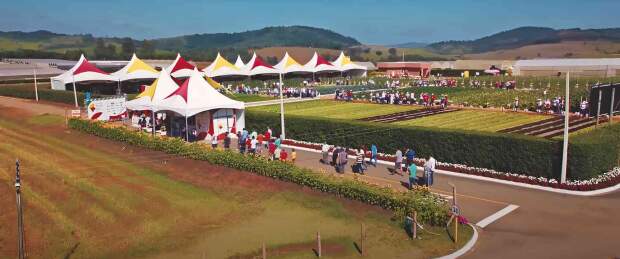 De 27/11 a 01/12 acontece o Sakata Field Day 2023, dia de campo que apresentará mais de 100 variedades de hortaliças a campo e em estufas, na cidade de Bragança Paulista (SP). (divulgação)