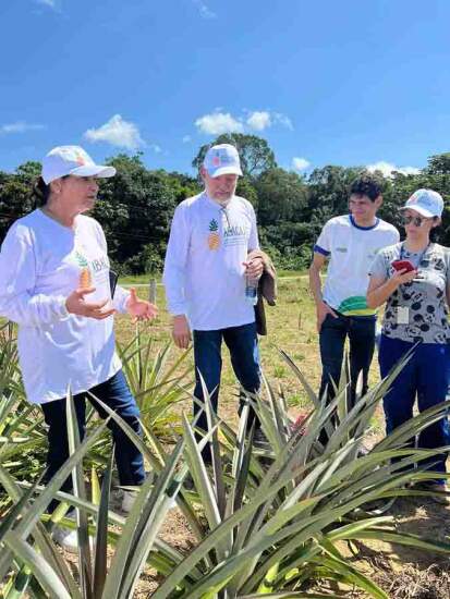 Liderado pelo engenheiro-agrônomo Henrique dos Santos Pereira, professor titular da Ufam, o projeto conta com a participação do pesquisador Ricardo Lopes, da Embrapa, e de técnicos do Idam. Foto: Henrique Pereira.