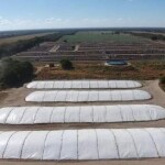 Pecuarista deve optar por lonas de qualidade para a completa vedação do insumo, que ficará acondicionado por alguns meses nos silos e será utilizado na época seca em substituição ao pasto. (Divulgação)