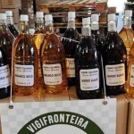 Vinhos coloniais, vinagres e outras bebidas alcoólicas sem procedência foram apreendidos na operação. Crédito: Ministério da Agricultura e Pecuária/gov.br