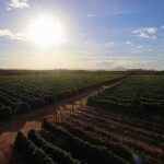 A Codevasf assinou escritura pública de permuta de uma área com 1,8 mil hectares, denominada assentamento Elza Estrela, no município de Brasilândia de Minas (MG), por uma área com 1 mil hectares pertencente ao Incra, situada na Gleba F do projeto de irrigação Jaíba. Foto: arquivo/Codevasf