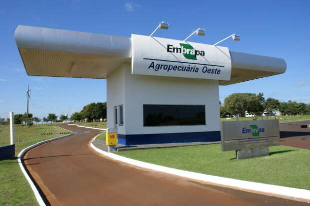Embrapa assinará um acordo de cooperação para investimentos em pesquisa e inovação nas áreas de segurança alimentar, produção de bioinsumos, adaptação de máquinas e equipamentos para a agricultura familiar, assistência técnica e extensão rural (Ater) Foto: Embrapa Oeste/divulgação.