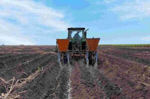 Os remineralizadores, também conhecidos como pó de rocha, são produzidos a partir da fragmentação de rochas selecionadas, e atuam melhorando a qualidade do solo e a produtividade das culturas. (Crédito: Divulgação)