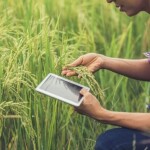 O agronegócio brasileiro está quebrando paradigma, pois ao interiorizar o desenvolvimento, melhora a qualidade de vida e os indicadores de desenvolvimento social. (Foto: Portal do Agro)