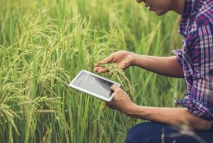 O agronegócio brasileiro está quebrando paradigma, pois ao interiorizar o desenvolvimento, melhora a qualidade de vida e os indicadores de desenvolvimento social. (Foto: Portal do Agro)