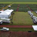 O primeiro dia de campo acontece em Sorriso, seguido de Nova Mutum, no dia 17, e Itiquira, no Sul do Estado, nos dias 24 e 25. (Fotos: Klebyster Rios / Fundação MT)