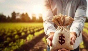 Segundo dados divulgados pela Associação Brasileira de Franchising (ABF), somente no terceiro trimestre desse ano, o mercado cresceu expressivos 11,4%, alcançando um faturamento de mais de R$ 62 bi. (Foto: divulgação /Sonhago).