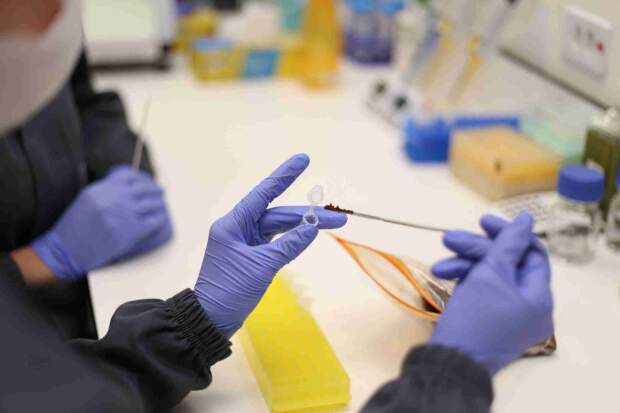 GoSolos identifica milhares de microrganismos que estão, de alguma forma, interferindo na produtividade. (Divulgação)