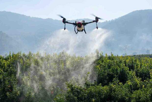 Grupo Timber conquista autorização da ANAC para Drones XAG, reforçando seu compromisso com tecnologia e segurança através de certificação de excelência. (Divulgação)