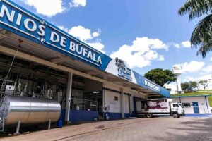 A indústria mineira seleciona profissionais para os cargos de gerente de compra de materiais, analista de pesquisa e desenvolvimento em laticínios, analista de planejamento e controle de produção industrial e promotores de vendas. (Divulgação)