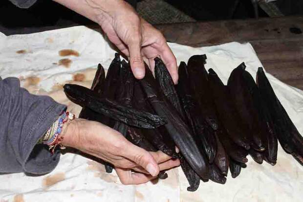 ExpedicaoBaunilha_FernandoRocha_2