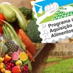 As visitas técnicas serão voltadas a representantes de cooperativas e associações de agricultores familiares locais, além dos próprios agricultores que participam do PAA. (Divulgaão)