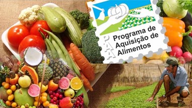 As visitas técnicas serão voltadas a representantes de cooperativas e associações de agricultores familiares locais, além dos próprios agricultores que participam do PAA. (Divulgaão)