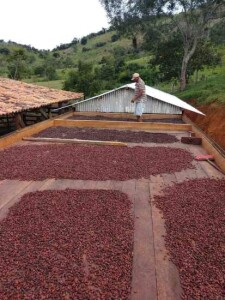 segundo melhor chocolate do mundo - divulgação