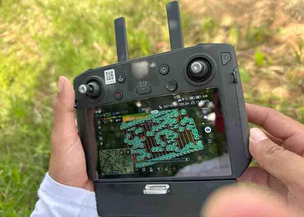 Acompanhamento em tempo real de voo de drone no mapeamento florestal. Foto: Mauricilia Silva / divulgação