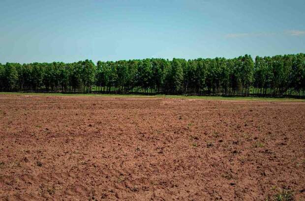 Comemorado em 15 de abril, data é importante marco para reflexão de toda cadeia produtiva sobre a importância da correta utilização da terra. (Divulgação)