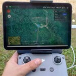 Restauração florestal do Parque Nacional Guaricana é exemplo de projeto que contribui com os objetivos do Dia Nacional da Mata Atlântica. Foto: divulgação