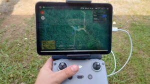 Restauração florestal do Parque Nacional Guaricana é exemplo de projeto que contribui com os objetivos do Dia Nacional da Mata Atlântica. Foto: divulgação
