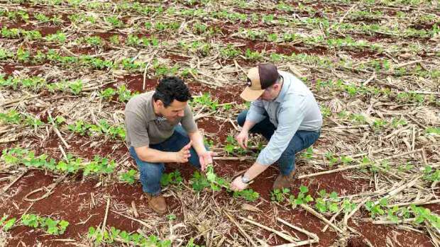 Primeiro Biofertilizante de Hidrólise Enzimática brasileiro aumenta 22% a produtividade da soja