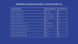 Empresas licenciadas cópia