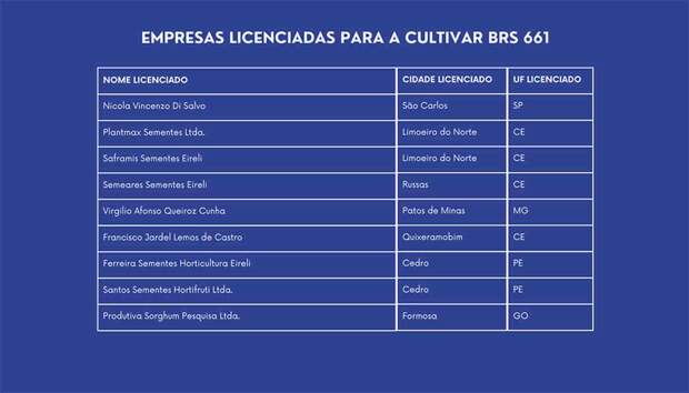 Empresas licenciadas cópia