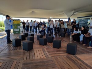 A nova cultivar possui estabilidade de produção nas regiões de: Mato Grosso, Mato Grosso do Sul, Goiás, Distrito Federal, Minas Gerais e Bahia. É indicada tanto para o cultivo irrigado, quanto sequeiro. Foto: Juliana Caldas