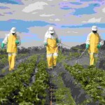 Algumas culturas ainda têm suporte fitossanitário que geram dúvidas, por isso, especialistas dão dicas para ajudar os agricultores no manejo mais assertivo. (foto: divulgação)