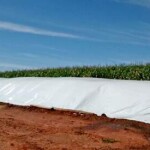 Rio Grande do Sul tem quase cinco mil unidades de beneficiamento de armazenagem de grãos. Foto: Techsilo/ reprodução