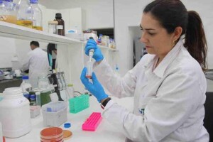 Pesquisadora Daniela Bittencourt, da Embrapa, participou do desenvolvimento da célula JCVI-syn3.A. Trabalho faz parte de cooperação entre Brasil e Estados Unidos na área de biologia sintética. Foto: Cláudio Bezerra