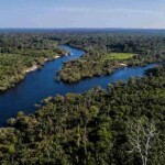 A estratégia, que inclui 50 milhões de hectares de florestas tropicais e áreas geridas por pequenos produtores, enfatiza o valor do manejo florestal no combate às alterações climáticas. (Reserva de Desenvolvimento Sustentável de Uatumã. Foto: Idesam / Rodrigo Duarte)