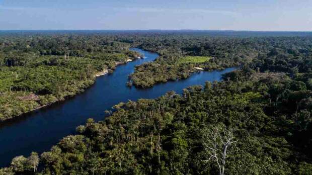 A estratégia, que inclui 50 milhões de hectares de florestas tropicais e áreas geridas por pequenos produtores, enfatiza o valor do manejo florestal no combate às alterações climáticas. (Reserva de Desenvolvimento Sustentável de Uatumã. Foto: Idesam / Rodrigo Duarte)