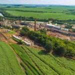 Companhia ganha participação de mercado e celebra entrada no mercado livre de energia elétrica renovável. Imagem: divulgação /Copersucar