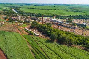 Companhia ganha participação de mercado e celebra entrada no mercado livre de energia elétrica renovável. Imagem: divulgação /Copersucar