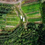 Startups que oferecem soluções climáticas receberam US$ 2,8 bilhões em aportes e dispõem de soluções que devem transformar o planeta nos próximos anos. (Banco de Dados Agroforestry Carbon)
