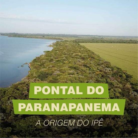 No quarto evento da série de cinco encontros, projeto avalia como a região do Pontal do Paranapanema pode ter um desenvolvimento econômico próspero e justo. (Reprodução Instituto Ypê)